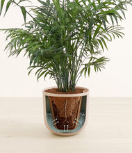 Load image into Gallery viewer, Sandy Pink stand:all
