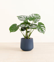 Load image into Gallery viewer, Deep Navy*****Profile
