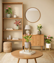 Load image into Gallery viewer, Earthy stand:two_stands
