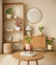 Load image into Gallery viewer, Sandy stand:two_stands
