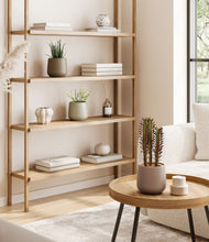 Load image into Gallery viewer, Earthy
