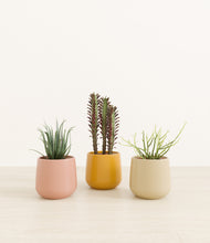 Load image into Gallery viewer, Evening Sky*****Profile
