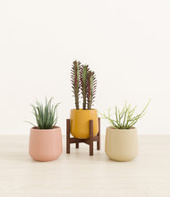 Load image into Gallery viewer, Evening Sky stand:one_stand
