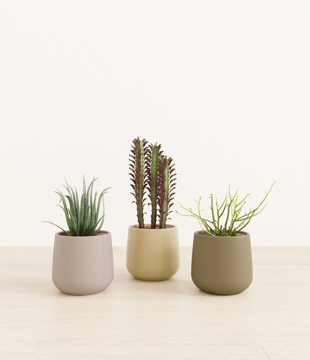 Woodland*****Profile