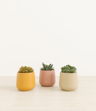 Load image into Gallery viewer, Evening Sky*****Profile
