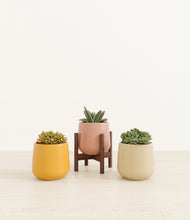 Load image into Gallery viewer, Evening Sky stand:one_stand
