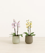Load image into Gallery viewer, Woodland Hues*****Profile
