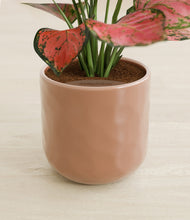 Load image into Gallery viewer, Hammered Peach Pink stand:all
