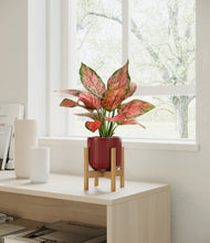 Load image into Gallery viewer, Striped Cherry Red stand:bamboo
