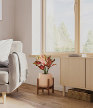 Load image into Gallery viewer, Gentle Pink stand:walnut
