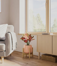Load image into Gallery viewer, Calm Rose stand:bamboo
