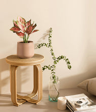 Load image into Gallery viewer, Gentle Pink
