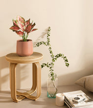 Load image into Gallery viewer, Calm Rose
