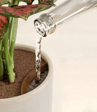 Load image into Gallery viewer, Snowdrift White stand:all
