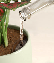 Load image into Gallery viewer, Earthy stand:all
