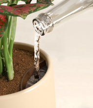 Load image into Gallery viewer, Lily Pad stand:all
