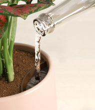 Load image into Gallery viewer, Sandy stand:all
