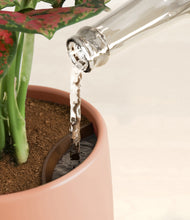 Load image into Gallery viewer, Evening Sky stand:all
