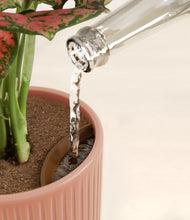 Load image into Gallery viewer, Striped Rose Pink stand:all
