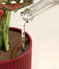 Load image into Gallery viewer, Striped Cherry Red stand:all
