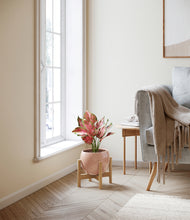 Load image into Gallery viewer, Calm Rose stand:bamboo
