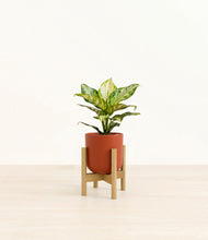 Load image into Gallery viewer, Earth Red stand:light

