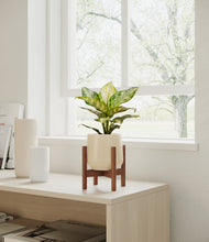 Load image into Gallery viewer, Almond Green stand:dark
