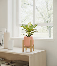 Load image into Gallery viewer, Calm Rose stand:light

