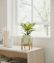 Load image into Gallery viewer, Turquoise stand:light
