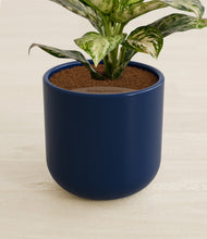 Load image into Gallery viewer, Twilight Blue stand:all
