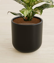 Load image into Gallery viewer, Stone Black stand:all
