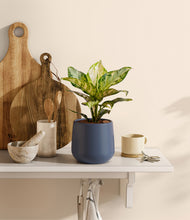 Load image into Gallery viewer, Deep Navy
