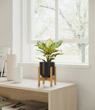Load image into Gallery viewer, Stone Black stand:light
