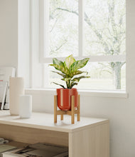 Load image into Gallery viewer, Glossy Red stand:light
