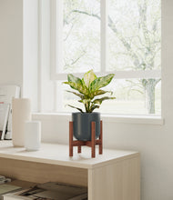 Load image into Gallery viewer, Iron Gray stand:dark
