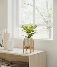 Load image into Gallery viewer, Sage Green stand:light
