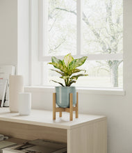 Load image into Gallery viewer, Reactive Aqua stand:light
