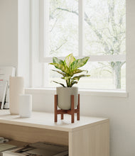 Load image into Gallery viewer, Sage Green stand:dark
