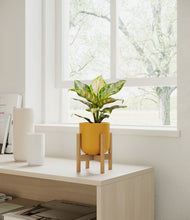 Load image into Gallery viewer, Sunset Orange stand:light
