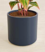 Load image into Gallery viewer, Deep Navy stand:all
