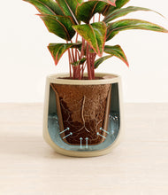 Load image into Gallery viewer, Almond Green stand:all
