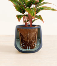 Load image into Gallery viewer, Deep Navy stand:all
