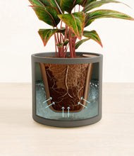 Load image into Gallery viewer, Dark Olive stand:all
