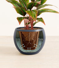 Load image into Gallery viewer, Deep Navy stand:all
