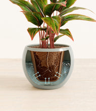 Load image into Gallery viewer, Deep Ocean stand:all
