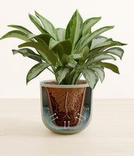 Load image into Gallery viewer, Sage Green stand:all
