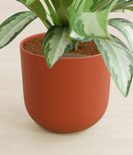 Load image into Gallery viewer, Earth Red stand:all
