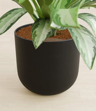 Load image into Gallery viewer, Stone Black stand:all
