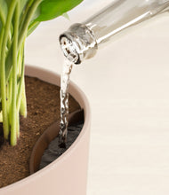 Load image into Gallery viewer, Sandy Pink stand:all
