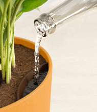 Load image into Gallery viewer, Sunset Orange stand:all
